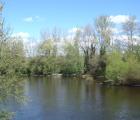 bords d'Allier